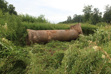 ������ ������ � �����